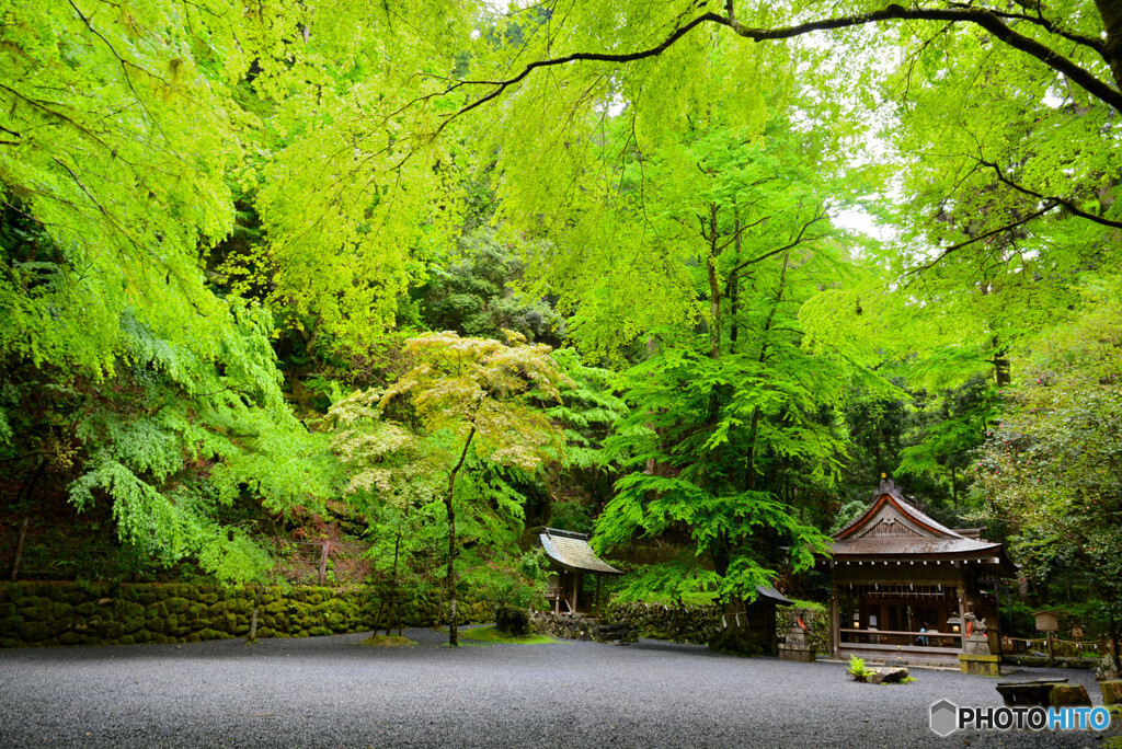 貴船神社（きふねじんじゃ）1584063