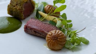 食事・飲み物 / 16