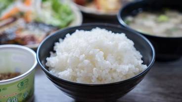 レストラン / 11