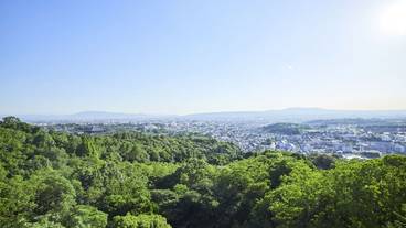 客室からの眺め　一例 / 20