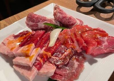 炭火網焼 ジンギスカン 狸小路やまごや