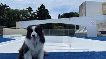 ペット用設備・サービス / 8