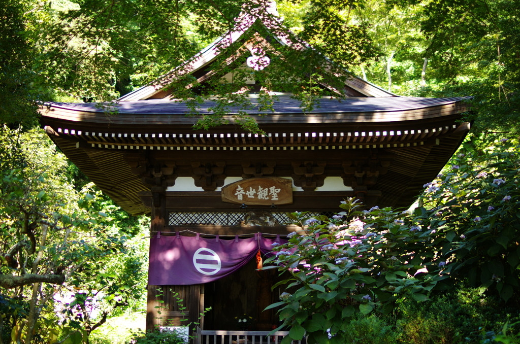 円覚寺38423