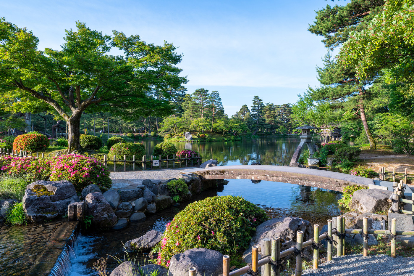 緑が美しい晴れの兼六園のことじ灯篭｜石川県金沢市