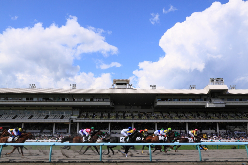札幌競馬場2032598