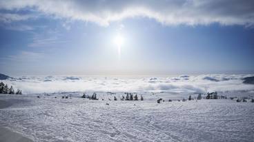 施設からの眺望 / 6
