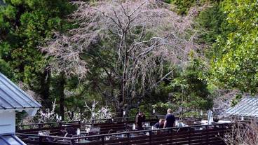 施設の敷地 / 27