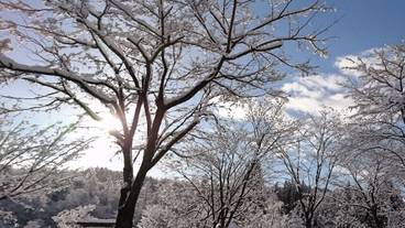 施設の敷地 / 15