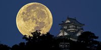 【岐阜】歴女必見！大河ドラマの舞台と歴史めぐりで楽しむ長良川温泉のホテル・旅館5選