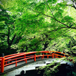プレミアムフライデーには温泉旅を！東京近郊のおすすめ温泉地7選