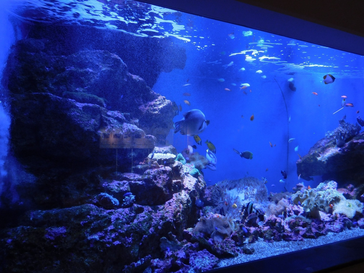 キッズアメニティが充実！アウトレットも水族館も徒歩約10分の好立地4755609