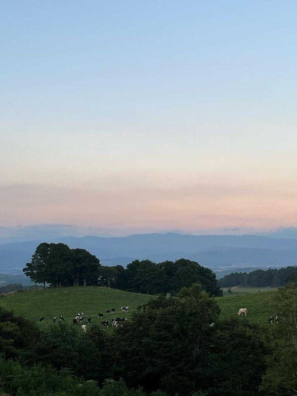 lapeony.parisさんの写真 / 1