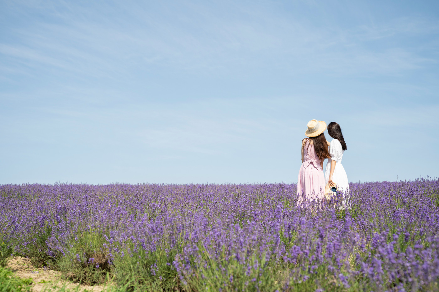 花畑と女性　ポートレート