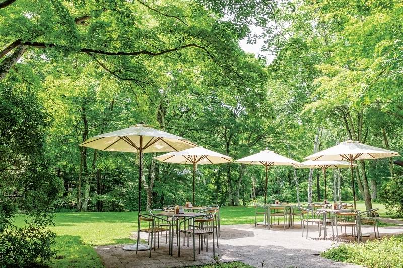 パラソルの下で
のんびりティータイム / 1