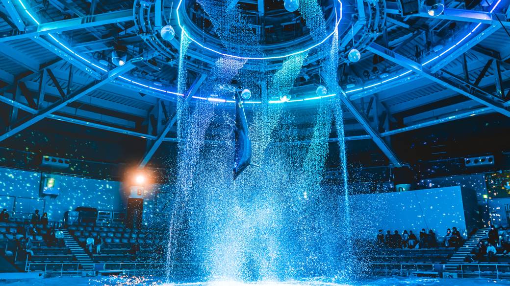 しながわ水族館 / 2