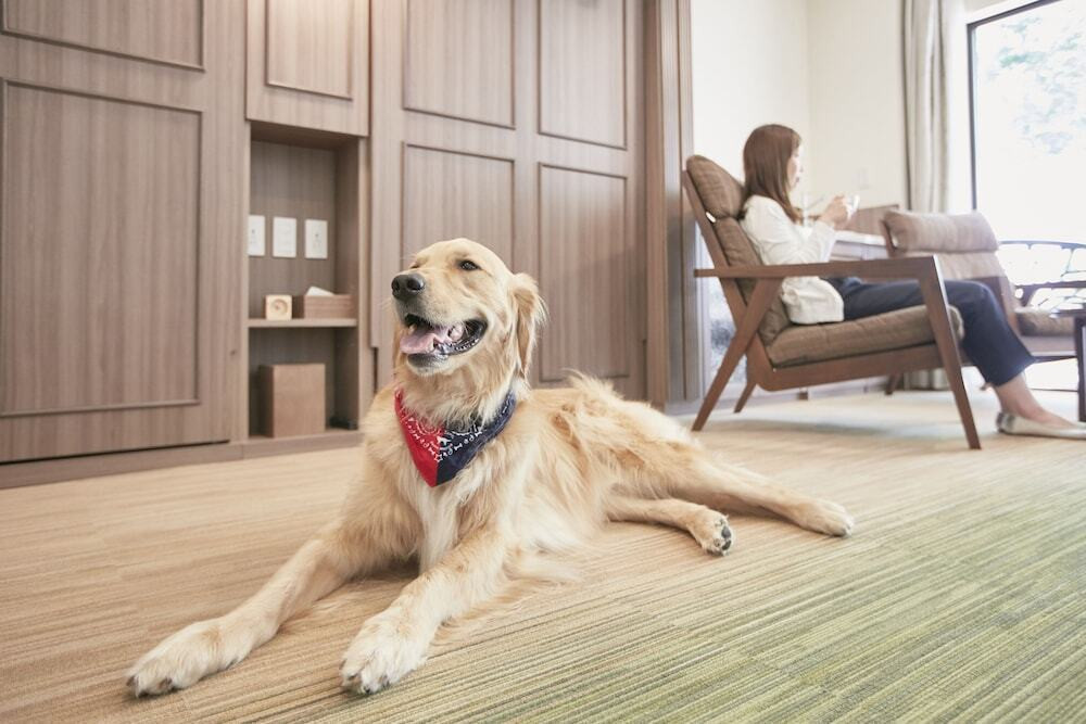 愛しのペットも一緒にクリスマスを3952561