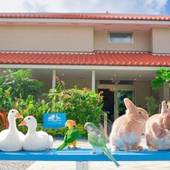 リトルマーメイドホテル石垣島（沖縄県 リゾートホテル） / 3