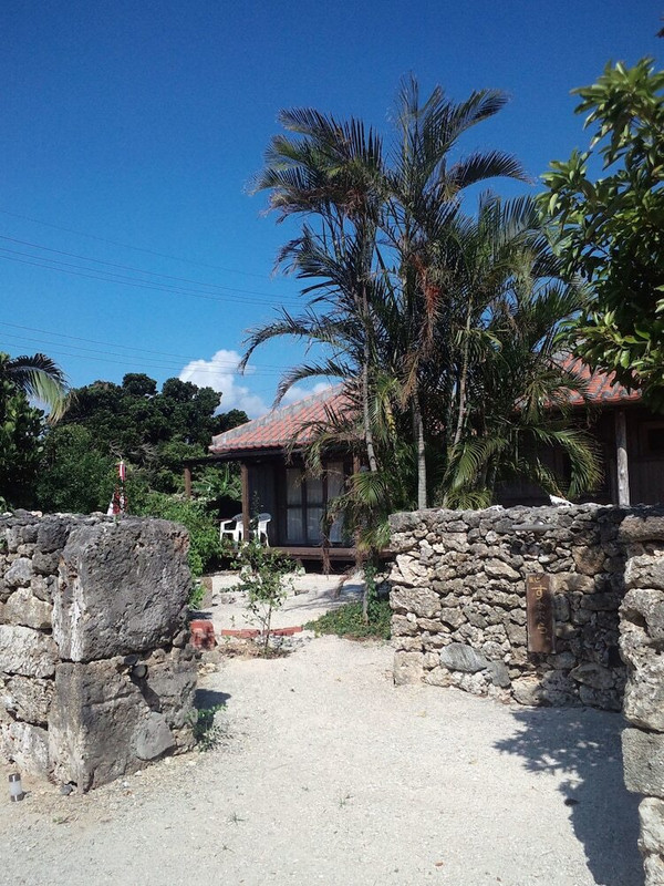 テラス / パティオ