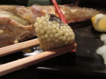 「秋田川反漁屋酒場 秋田大町本店」料理 1119017 卵入りです♪