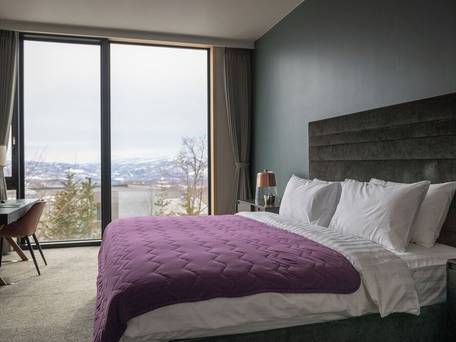 Annupuri Garden Town House / 1