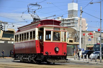 函館ではレトロな市電も抑えたい675188