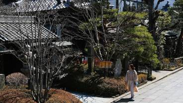 デザイナーショップ / 10