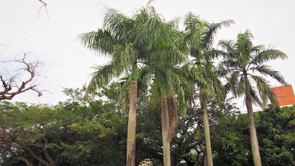 施設からの眺望