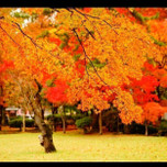 【秋田】紅葉の名所とおすすめの温泉旅館6選♪絶景に癒される大人女子旅