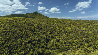 スタンダード ツインルーム