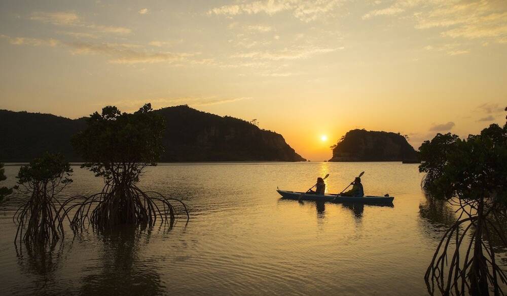 夕暮れマングローブカヤック / 1