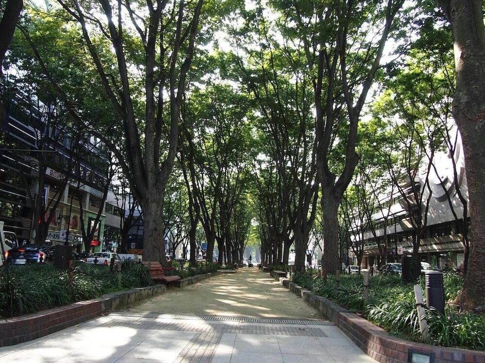 施設の敷地
