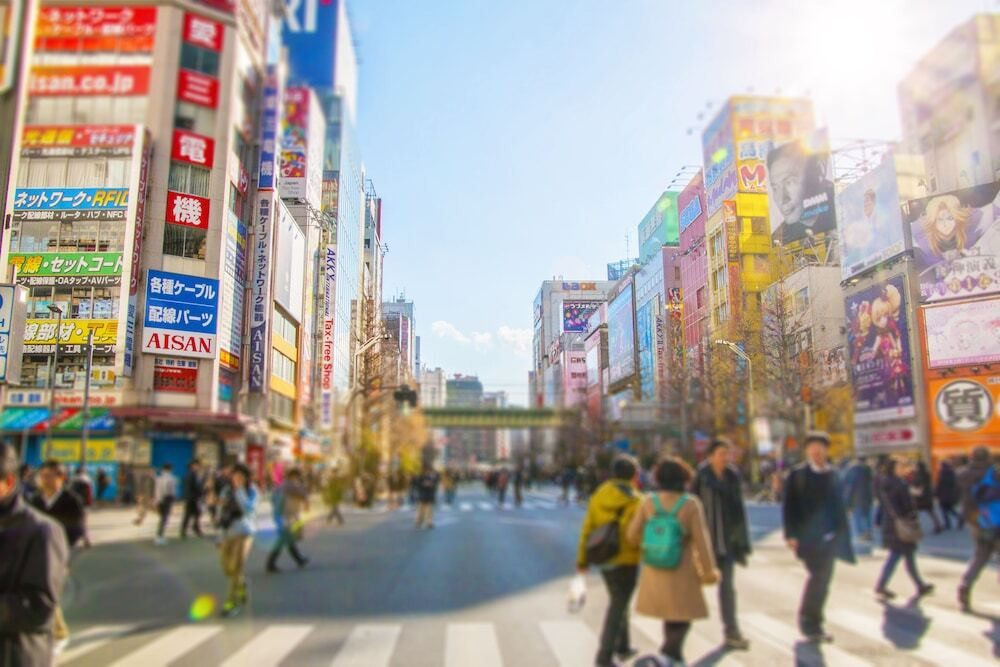 ランド ビュー