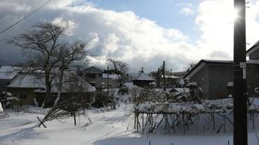 ストリート ビュー / 14