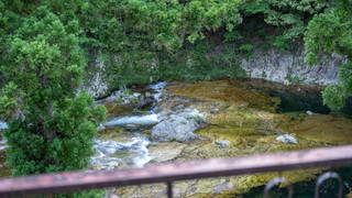 渓谷側　眺めの良い和室