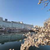 大阪キャッスルホテル（天満橋）（大阪府 ビジネスホテル） / 5