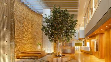 メイン イメージ / 1