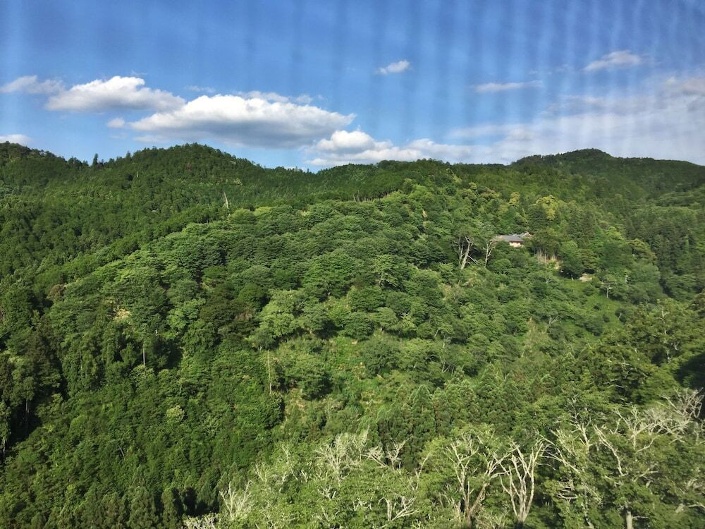 マウンテン ビュー