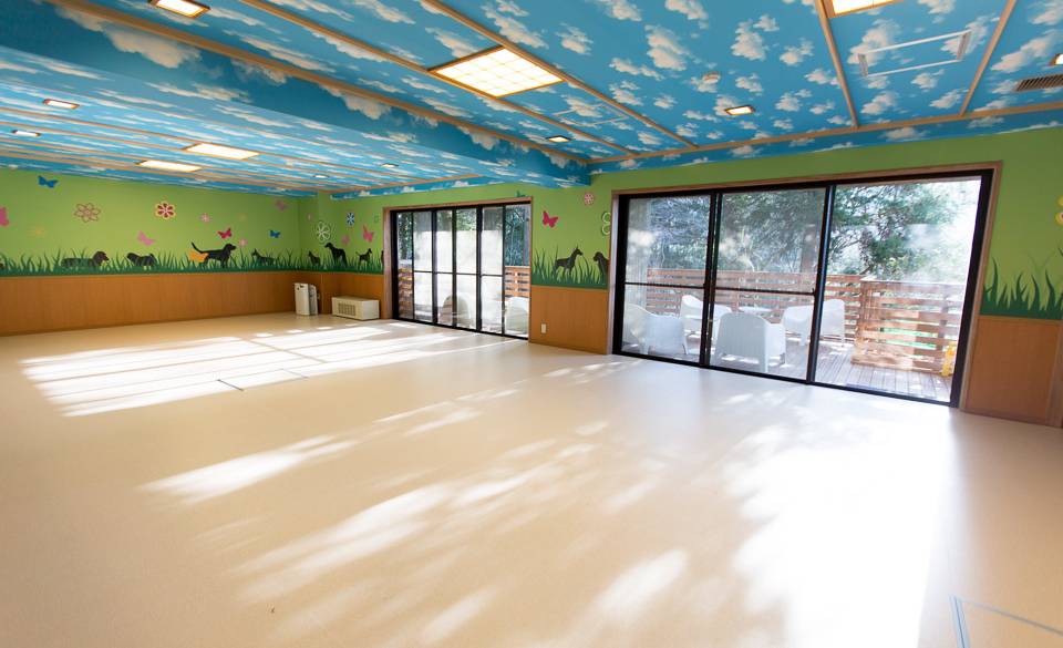 室内ドッグラン / 1