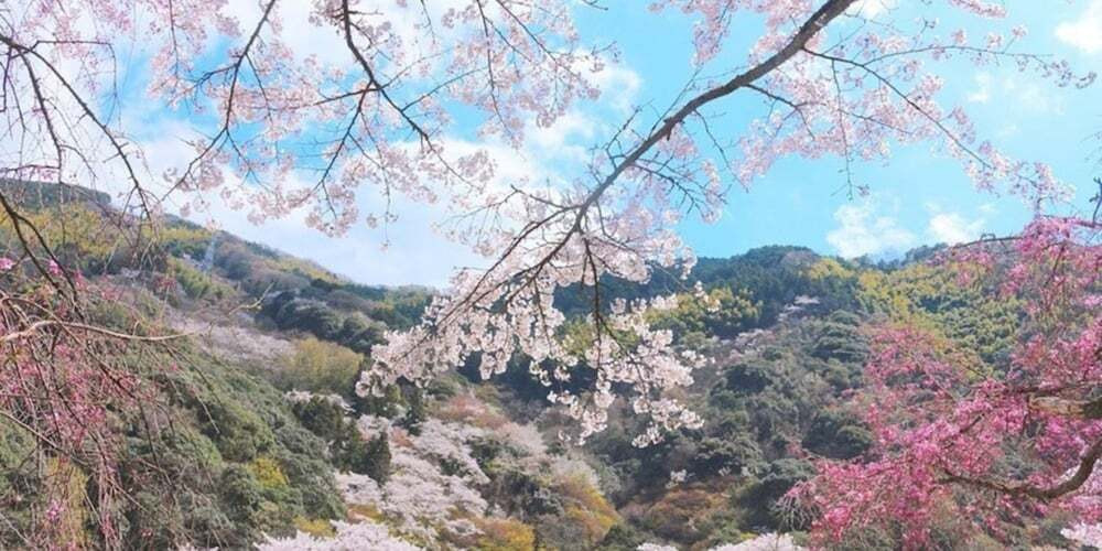 施設からの眺望