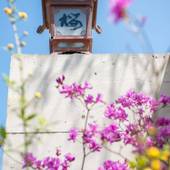 宮浜温泉 旅籠 桜（広島県 旅館） / 4