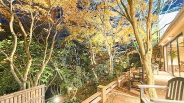 テラス / パティオ / 17