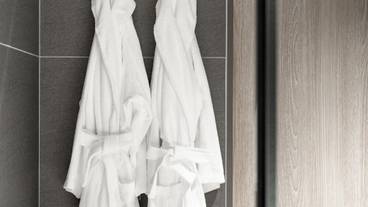 客室の設備とサービス / 32