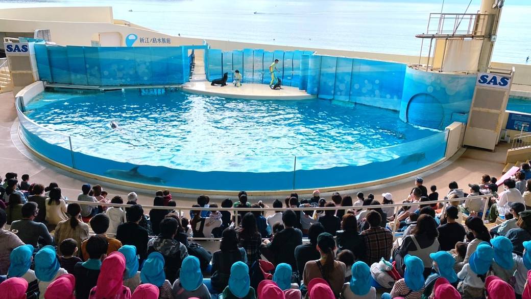新江ノ島水族館 / 5