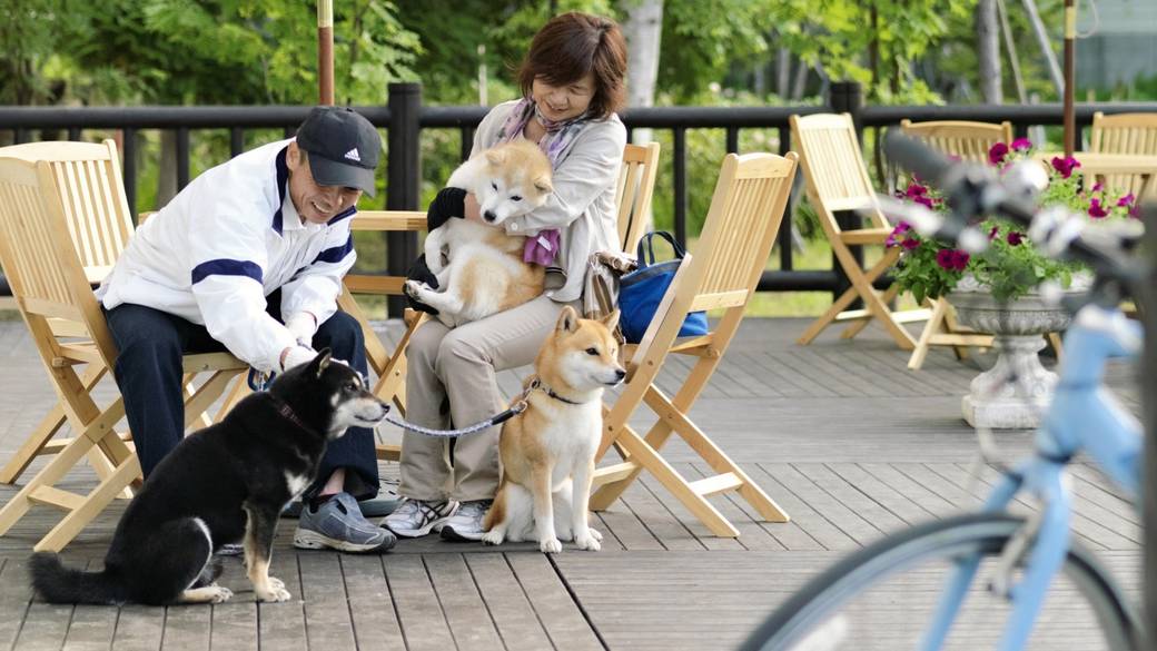 別棟トゥラノ館のテラス / 3