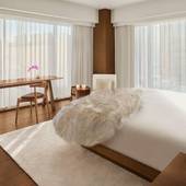 東京エディション銀座(東京都 シティホテル) / 5