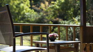 ベーシック ツインルーム 禁煙