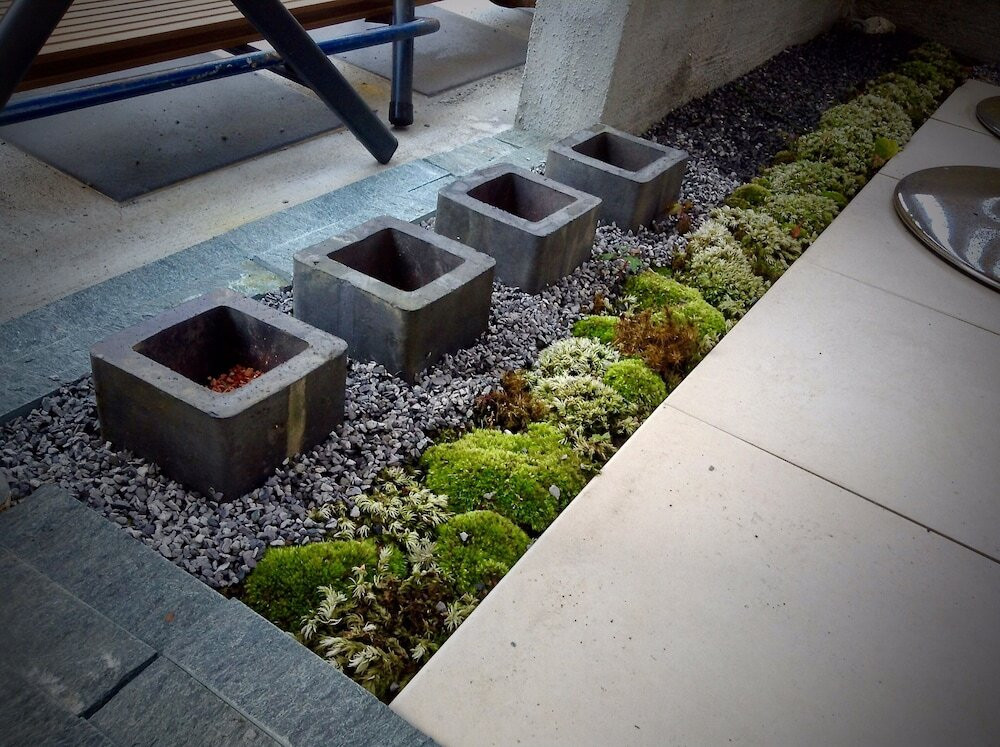 テラス / パティオ