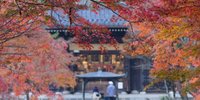 秋の京都でほっこり♡「南禅寺」の紅葉とオススメ湯豆腐店をぶらり旅