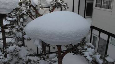 ガーデン ビュー / 21