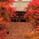 京都の秋は紅葉や祭りと盛りだくさん 京都の秋 9月 11月 の楽しみ方をご紹介 Icotto イコット